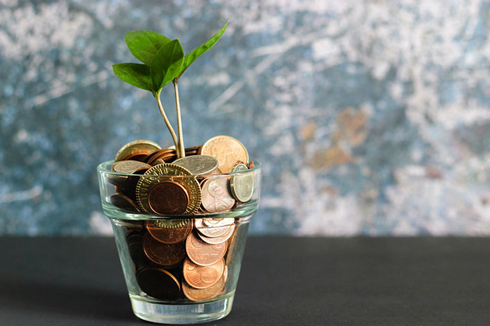Company Investments